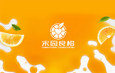 某良橙——河源LOGO设计